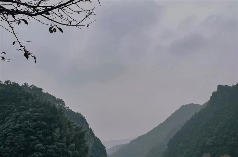 QQ截圖20220114101922.jpg