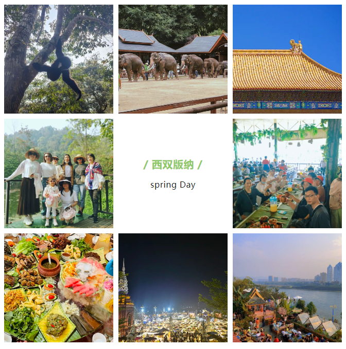QQ截圖20240415145855.png