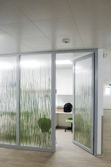 動(dòng)物們的救護(hù)所