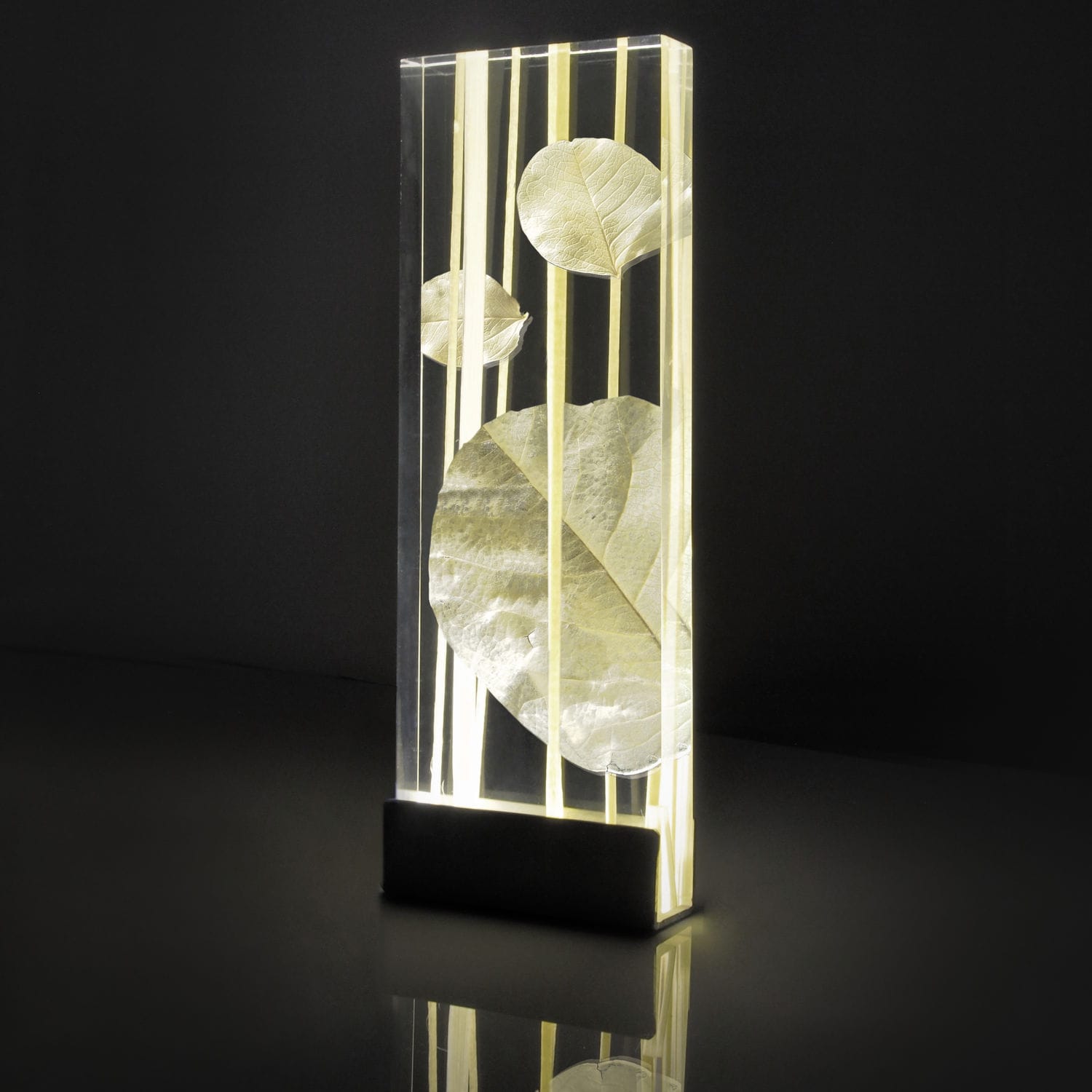 1501233607236916.jpg 1501233607236916.jpg