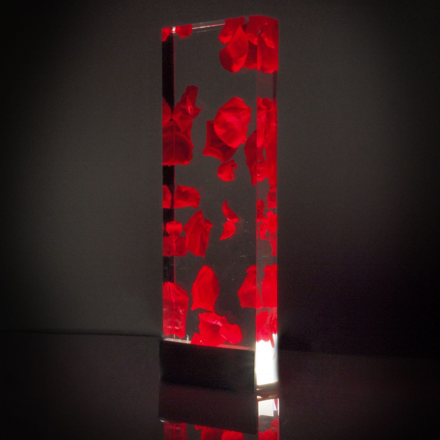 1501233607371295.jpg 1501233607371295.jpg