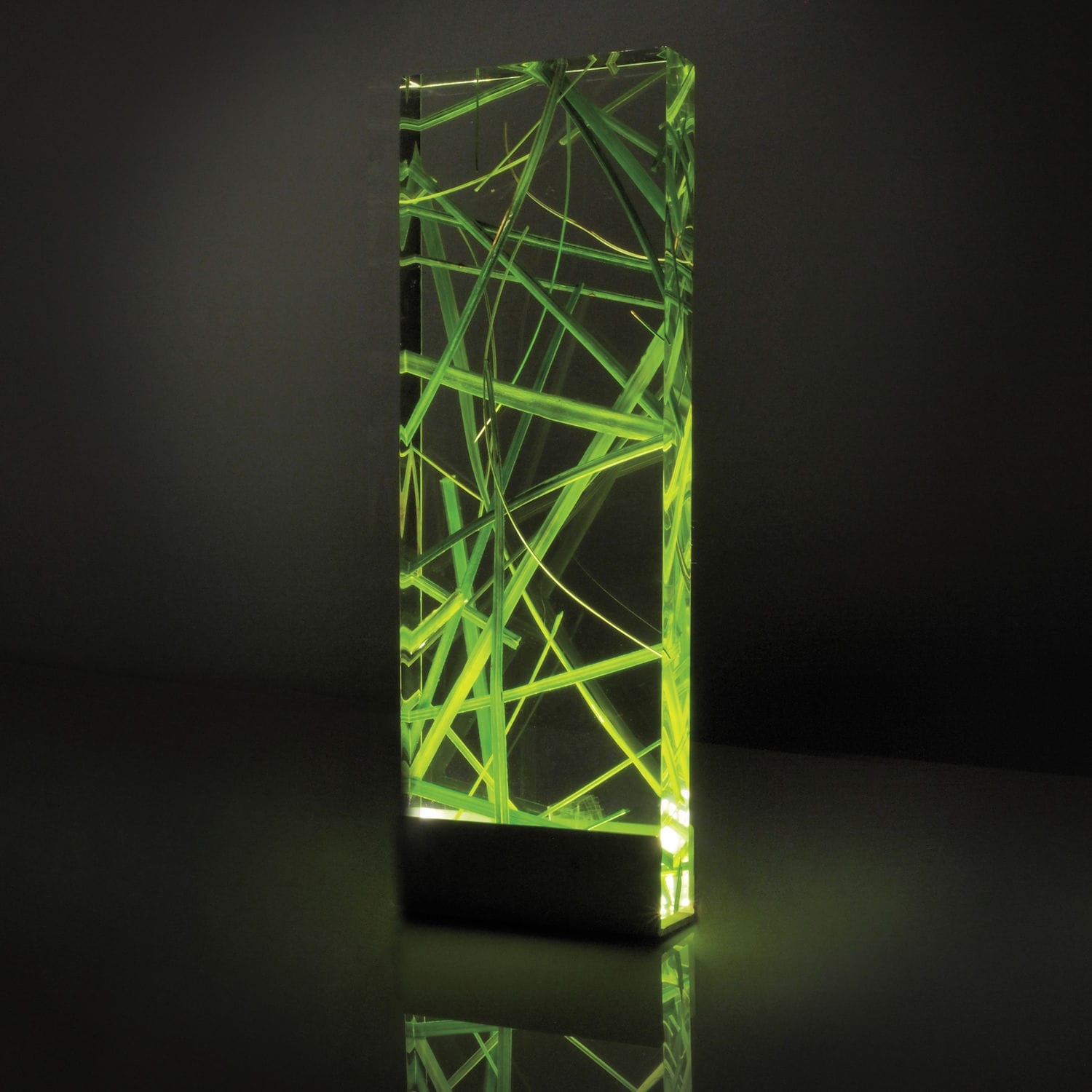 1501233607738353.jpg 1501233607738353.jpg