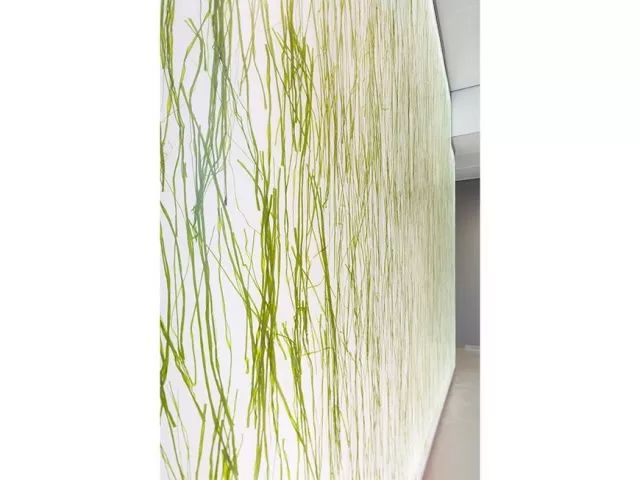 美寰樹脂板 美寰樹脂板