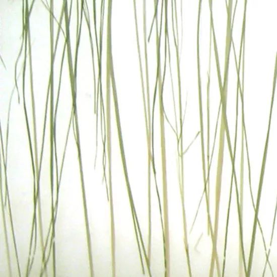 美寰樹脂板 美寰樹脂板