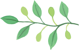 美寰樹脂板 美寰樹脂板