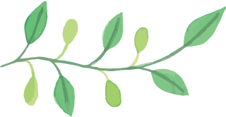 美寰樹脂板 美寰樹脂板