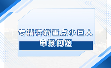 母公司、子公司、分公司的區(qū)別與聯(lián)系及“重點(diǎn)小巨人”項(xiàng)目申報(bào)中的財(cái)務(wù)數(shù)據(jù)分類與規(guī)劃-浙江科林企業(yè)管理咨詢有限公司